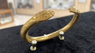 Yılan başlı altın bilezikler müzede